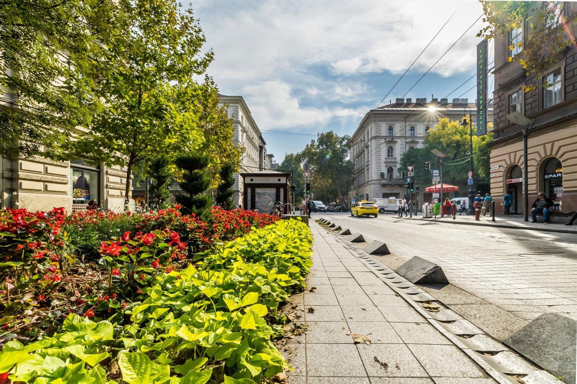 Cozy Little Flat In The City Center Budapest Exteriör bild